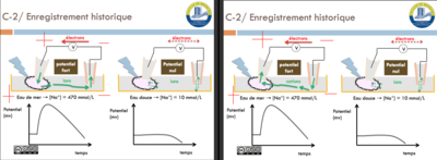 Capture d’écran 2016-04-08 à 09.21.13.png