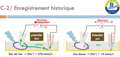 Capture d’écran 2016-04-08 à 11.41.40 1.png