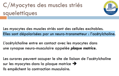 Capture d’écran 2016-04-08 à 13.52.33.png