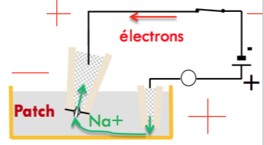 Capture d’écran 2016-04-08 à 13.50.24.png