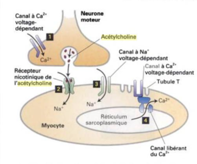 Capture d’écran 2016-04-08 à 13.57.20.png