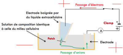 Capture d’écran 2016-04-08 à 13.58.57.png
