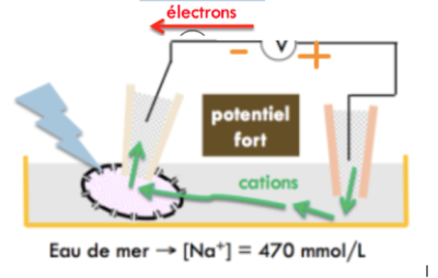 Capture d’écran 2016-04-08 à 14.29.41.png