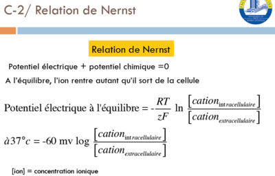Nernst.png