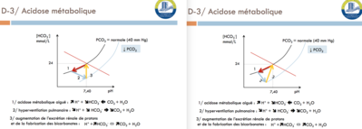 Capture d’écran 2016-04-10 à 12.50.43.png