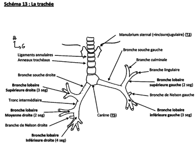 Capture d’écran 2016-04-12 à 22.05.02.png