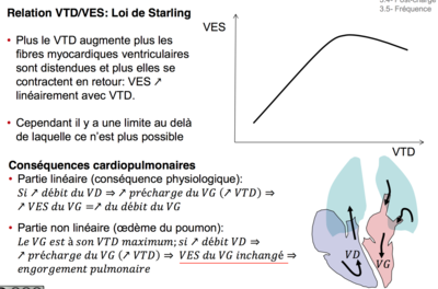 Capture d’écran 2016-04-13 à 13.37.06.png