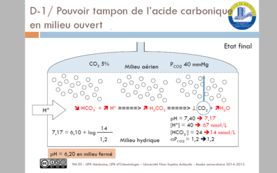 Question physio diapo 2.PNG