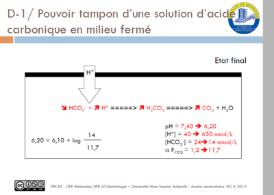 Question physio diapo 1.PNG