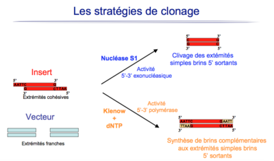 Capture d’écran 2016-04-13 à 20.10.23.png