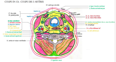 Capture d’écran 2016-04-14 à 10.26.34.png