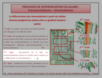 Capture d’écran 2016-04-14 à 10.18.25.png
