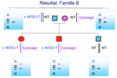 Capture d’écran 2016-04-14 à 14.13.46.png