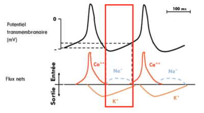 Capture d’écran 2016-04-14 à 17.00.55.png