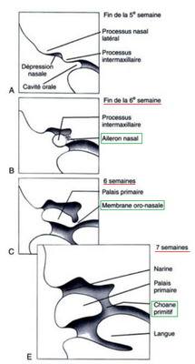 Capture d’écran 2016-02-18 à 17.26.24.png