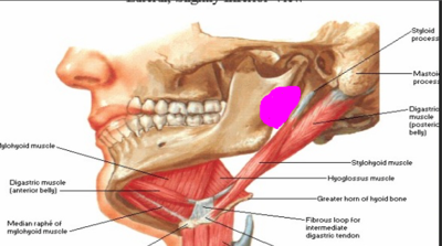 Capture d’écran 2016-04-17 à 06.58.35 1.png