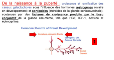 Capture d’écran 2016-04-18 à 19.51.20.png