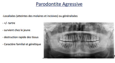 Capture d’écran 2016-04-20 à 15.03.42.png