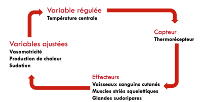 Capture d’écran 2016-04-20 à 16.40.45.png