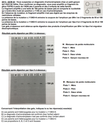 Capture d’écran 2016-04-20 à 17.34.49.png
