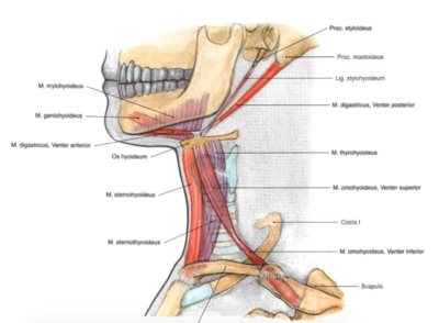 Capture d’écran 2016-04-20 à 18.25.06.png