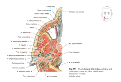 Capture d’écran 2016-04-20 à 18.25.37.png