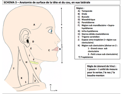 Capture d’écran 2016-04-20 à 19.02.21.png