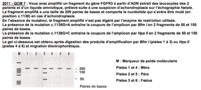 Capture d’écran 2016-04-26 à 01.39.49.png