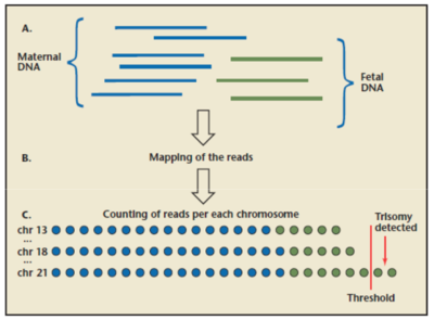 Capture d’écran 2016-04-26 à 11.05.24.png