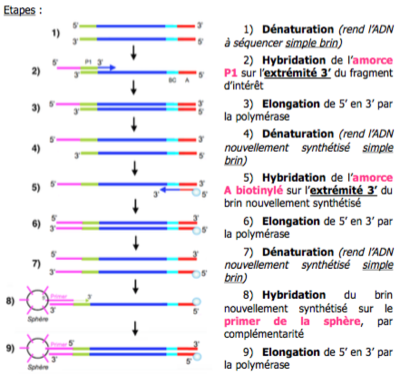 Capture d’écran 2016-04-26 à 11.39.33.png