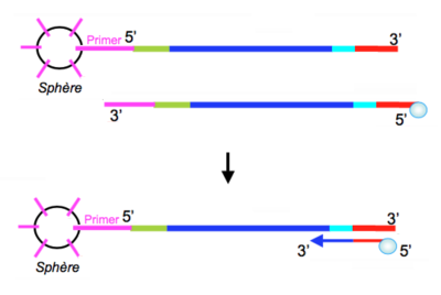 Capture d’écran 2016-04-27 à 16.35.51.png