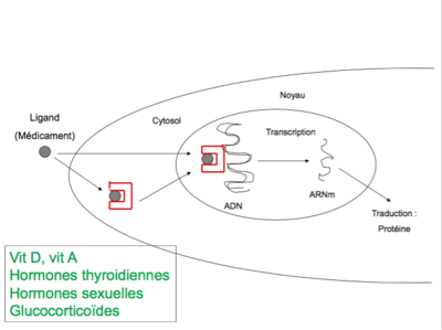 Capture d’écran 2016-04-27 à 17.32.53.png