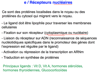 Capture d’écran 2016-04-28 à 10.09.59.png