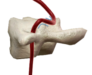 Capture d’écran 2016-04-29 à 15.45.05.png