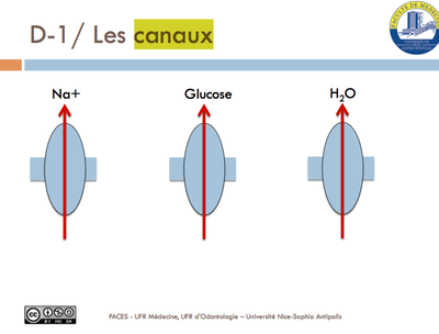 Capture d’écran 2016-04-30 à 16.24.49.png