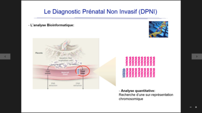 Capture d’écran (52).png