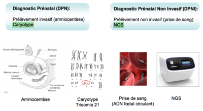Capture d’écran 2016-05-01 à 11.49.42.png