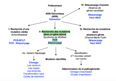 Capture d’écran 2016-05-01 à 12.02.15.png