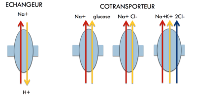Capture d’écran 2016-05-01 à 18.01.00.png