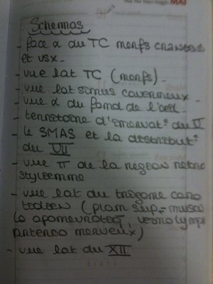 liste schémas anat'.jpg