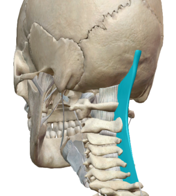 Capture d’écran 2016-05-02 à 00.12.13.png