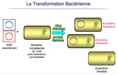 Capture d’écran 2016-05-05 à 16.27.33.png