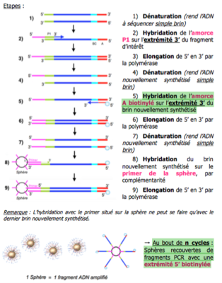 Capture d’écran 2016-05-07 à 09.44.18.png