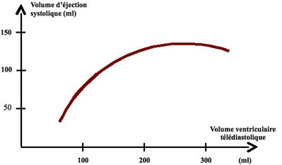 relation de starling.jpg