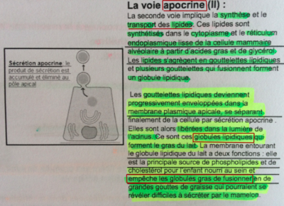 Capture d’écran 2016-05-10 à 10.37.35.png
