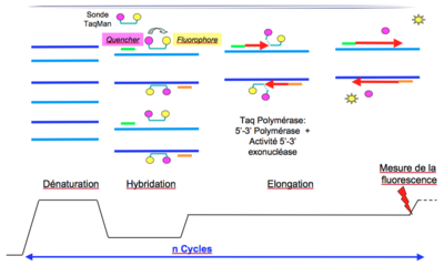 Capture d’écran 2016-05-14 à 13.00.19.png