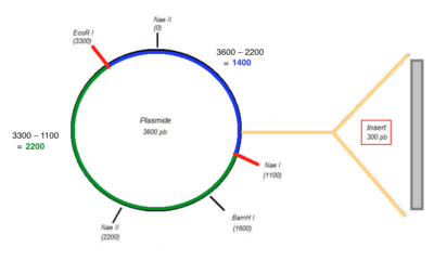 Capture d’écran 2016-05-15 à 23.39.53.png