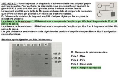 Capture d’écran 2016-05-17 à 13.38.42.png