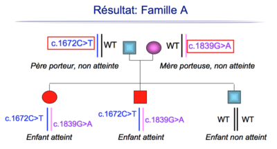 Capture d’écran 2016-06-04 à 16.34.07.png