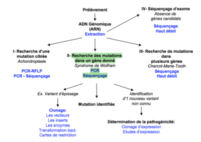 Capture d’écran 2016-06-04 à 16.29.23.png